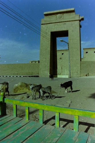 PICT0029