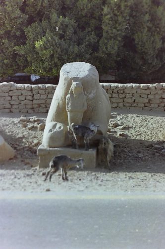 PICT0034