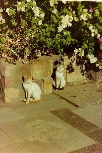 PICT0048