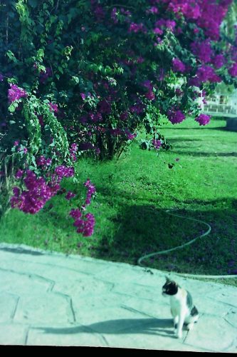 PICT0051